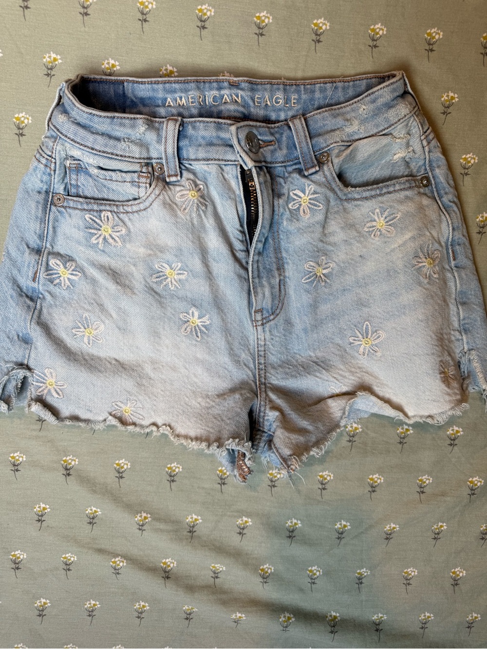 American Eagle Outfitters Light Blue Embroidered Daisy Denim Shorts